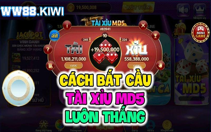 Trò chơi tài xỉu md5 có gì nổi bật?